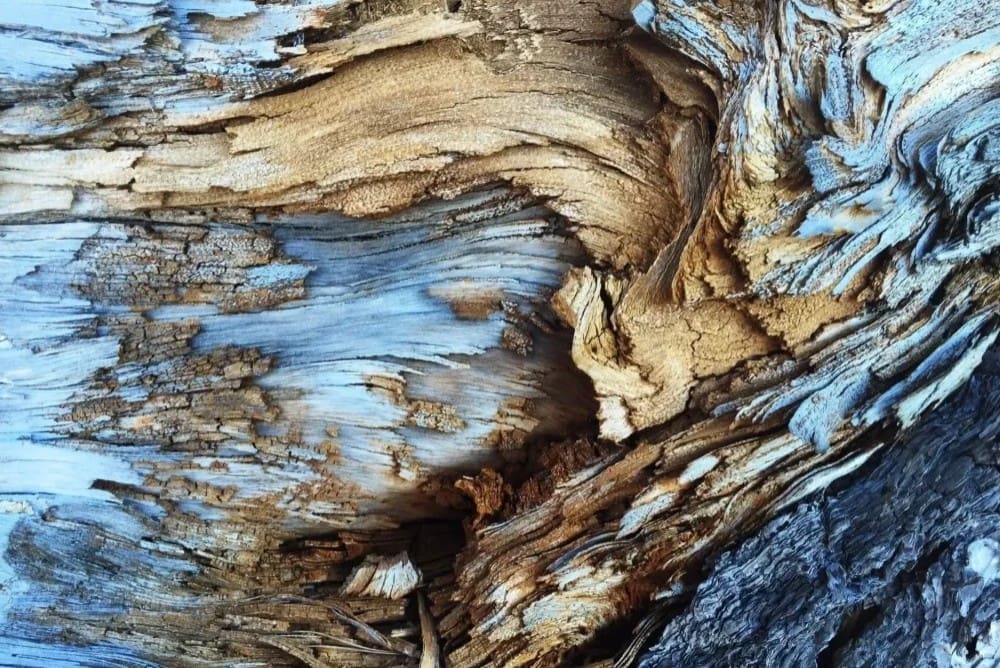 1-1024x768-landscape1