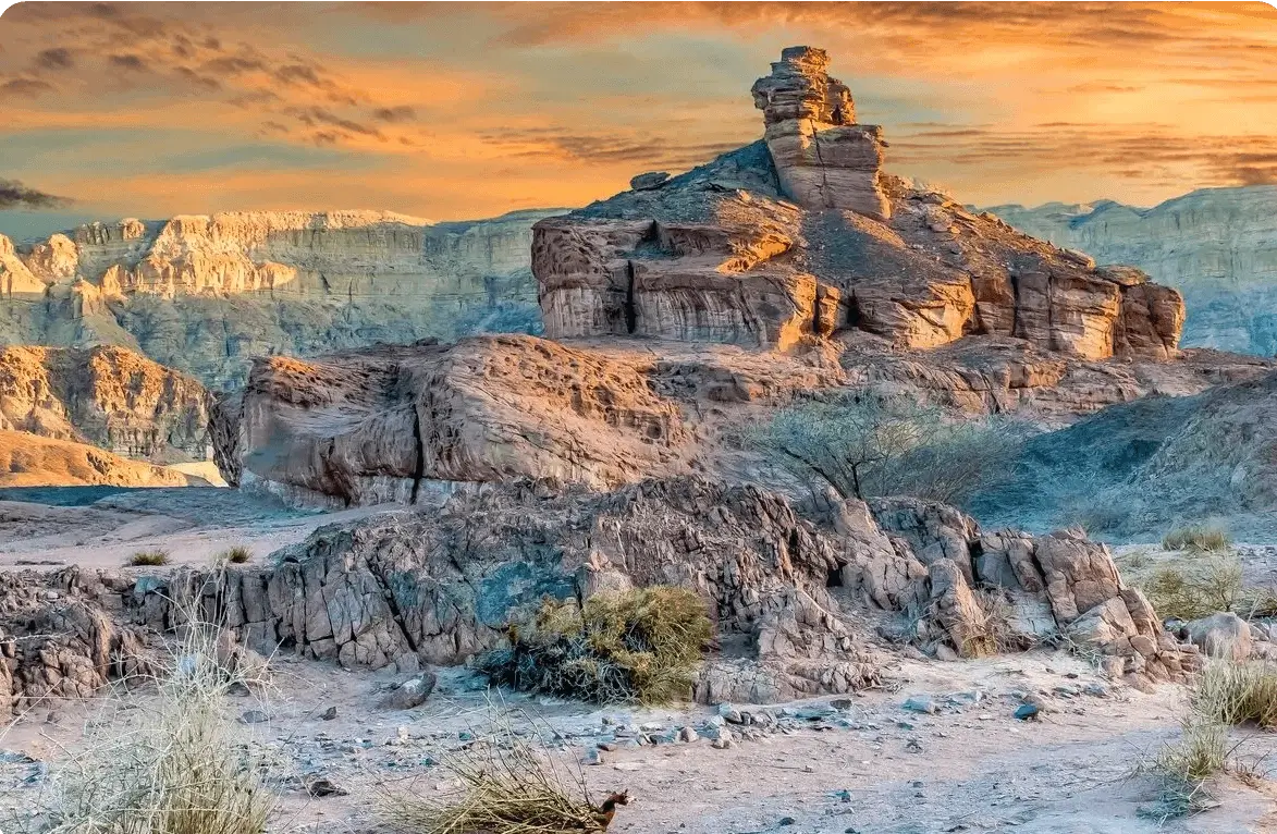 A desert landscape with rocks and bushes